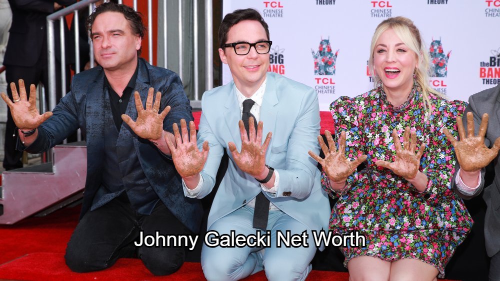 Johnny Galecki Net Worth
